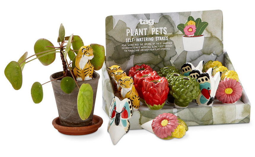 botanist plants Multi Botanist Plant Pet